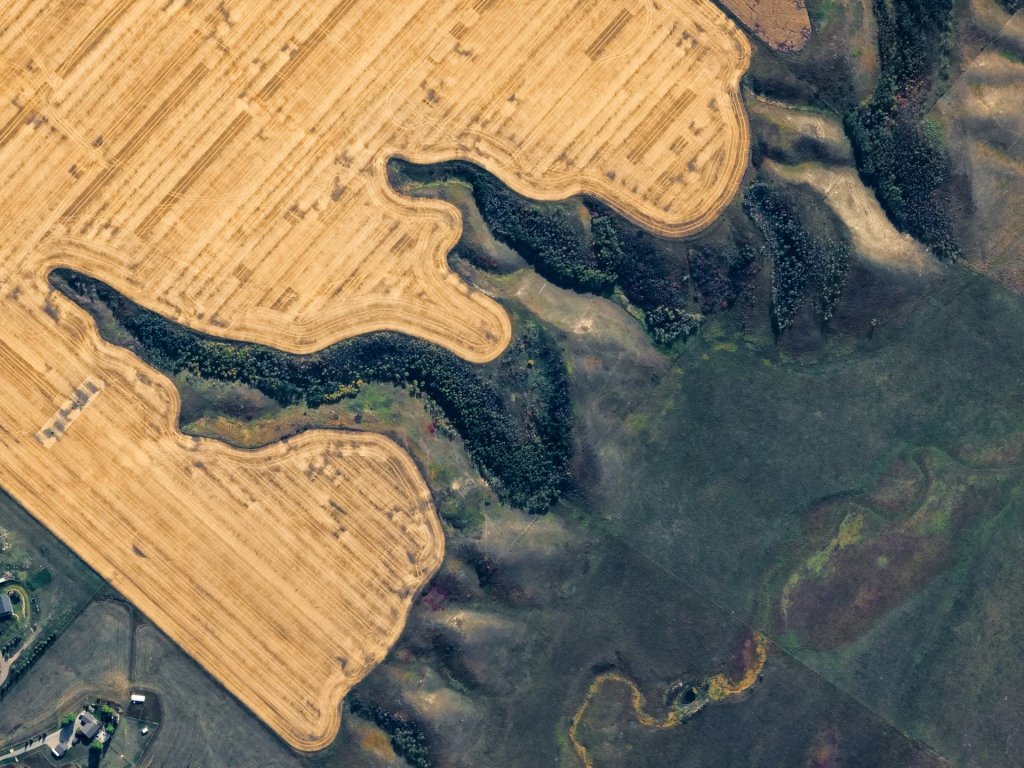 Cool Things We Saw: From the Sky, the World Tells a Different Story